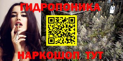 ECSTASY Гатчина