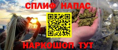 ECSTASY Гатчина