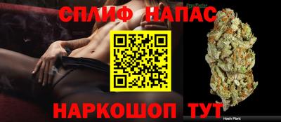 a pvp Гай