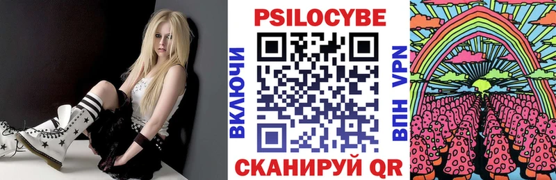 Псилоцибиновые грибы GOLDEN TEACHER  купить наркоту  Волгодонск 