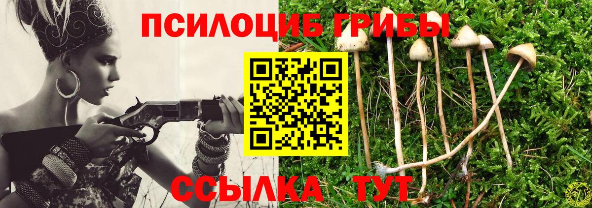 Псилоцибиновые грибы мицелий  Галлюциногенные грибы MAGIC MUSHROOMS  Волгодонск 