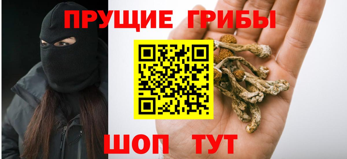 Псилоцибиновые грибы прущие грибы  Вход с VPN  Псилоцибиновые грибы мицелий  где можно купить   Волгодонск 