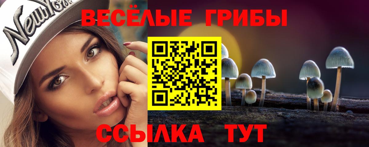 Псилоцибиновые грибы Magic Shrooms Волгодонск